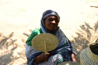 DSC_8352 (Large).JPG